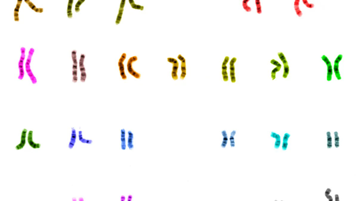 sequencing 1 million human genomes