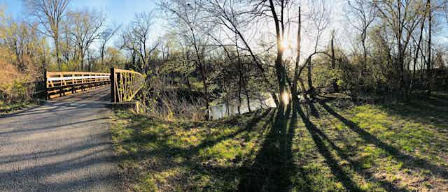 The sun shines through trees surrounding Ioway Creek in Ames, Iowa