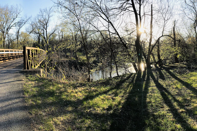 The sun shines through trees surrounding Ioway Creek in Ames, Iowa