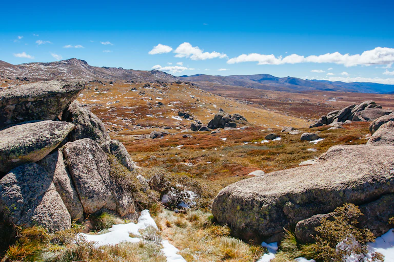 The high country