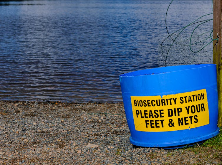 A bucket by a lake with a sign reading 'Biosecurity station. Please dip your feet and nets'