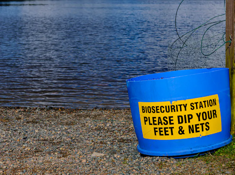 A bucket by a lake with a sign reading 'Biosecurity station. Please dip your feet and nets'