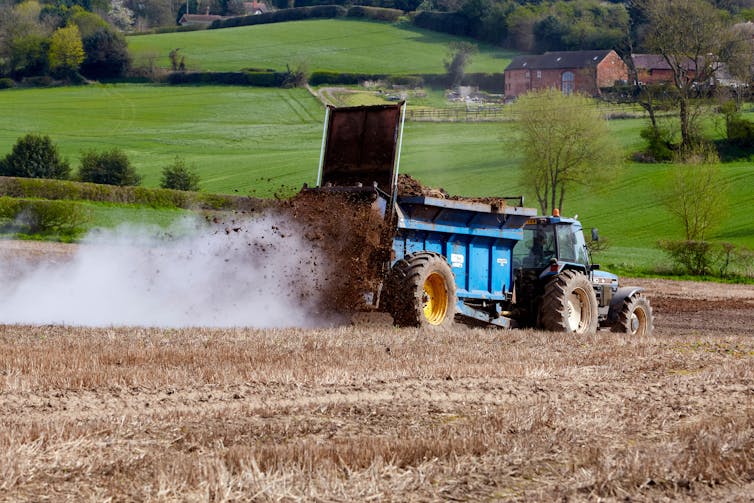 A farmer spreads manure over a field.