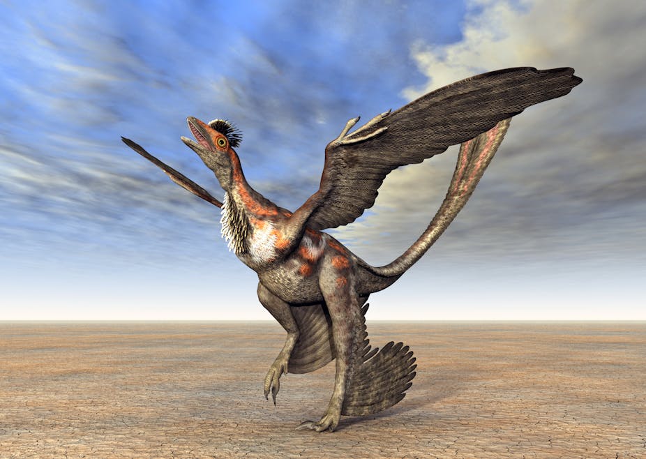Artist illustration of a microraptor.
