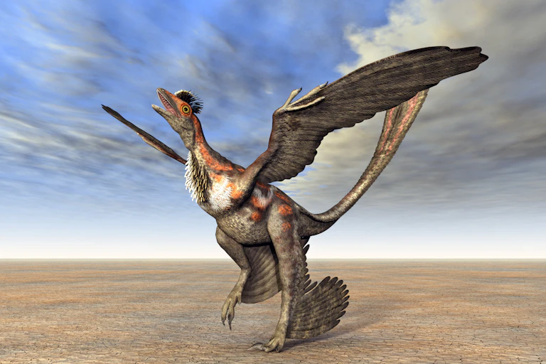 Artist illustration of a microraptor.