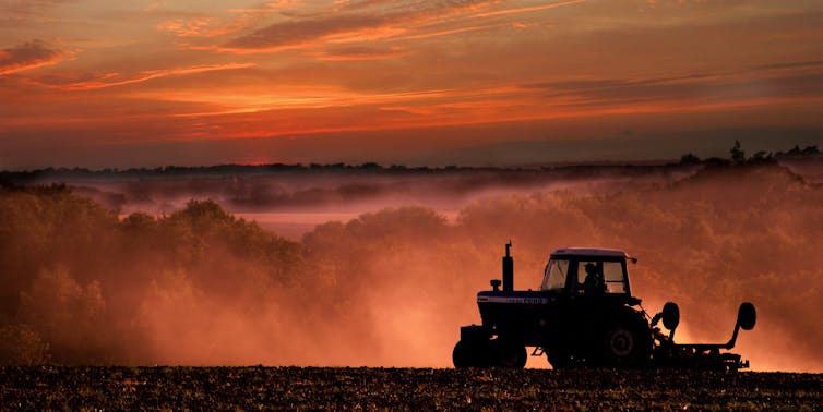 A tractor prepares the land at sunset.