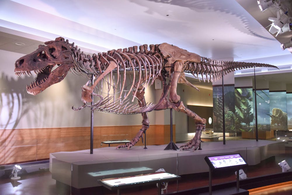 How Many Tyrannosaurus Rex Walked The Earth How Many Tyrannosaurus Rex Walked The Earth