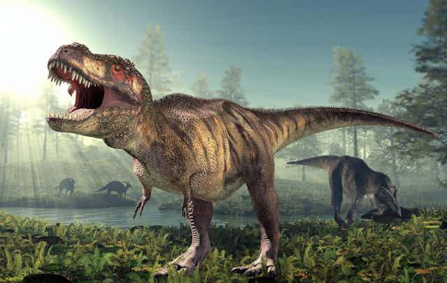 An artists rendering of two T. rex with one eating another dinosaur.