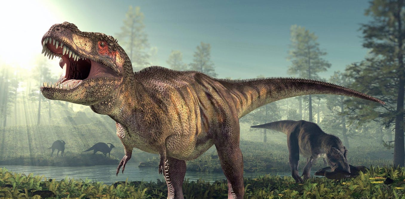How many ‘Tyrannosaurus rex’ have walked the earth?