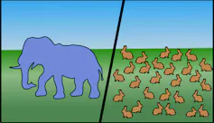 A drawing of one elephant on the left next to dozens of rabbits on the right.