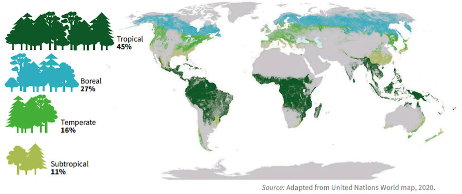 2021, année décisive pour la protection et la restauration des forêts