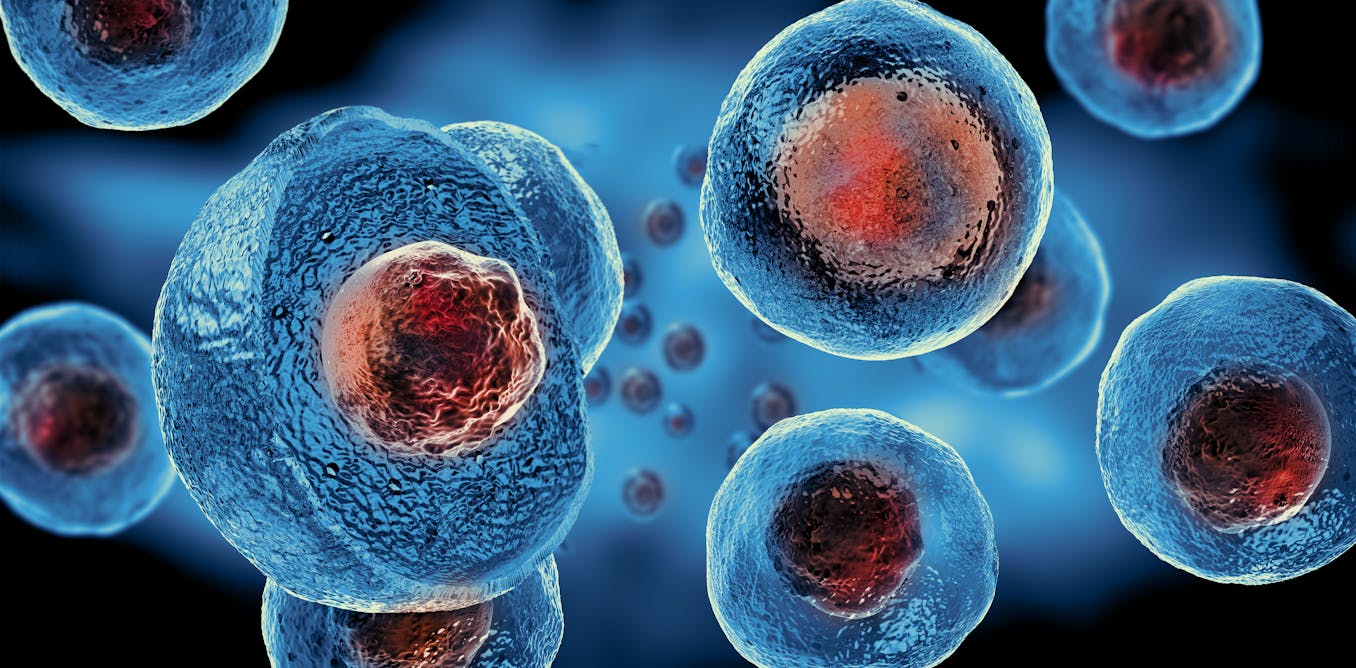 As scientists move closer to making part human, part animal ...