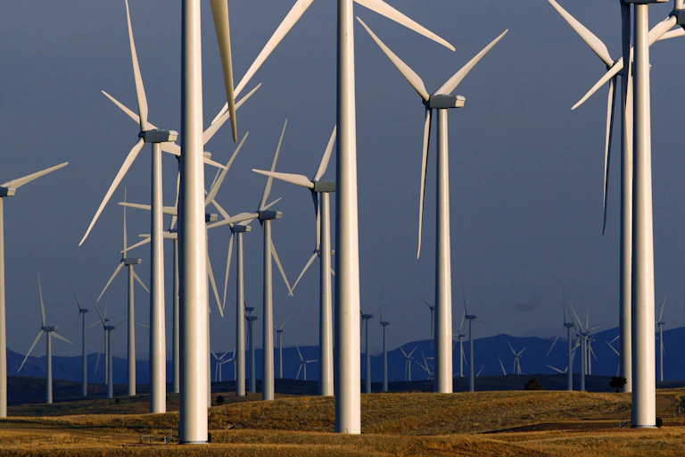Dozens of large turbines.