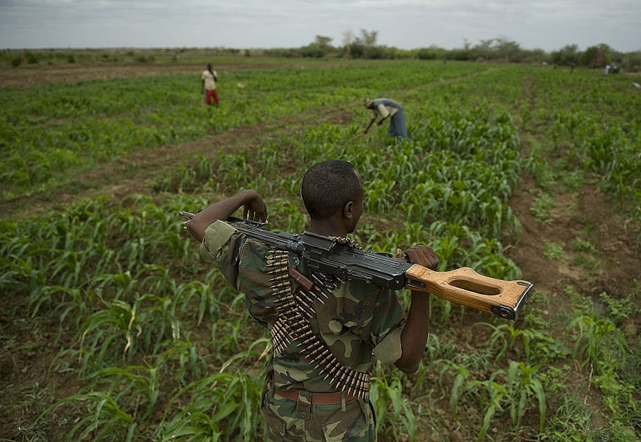 A man with an automatic rifle guards a crop field.