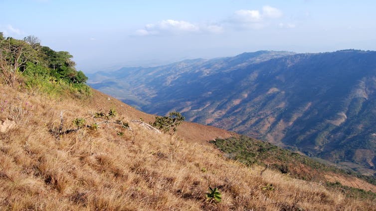 Malawi landscape with patches of forest high in the hills