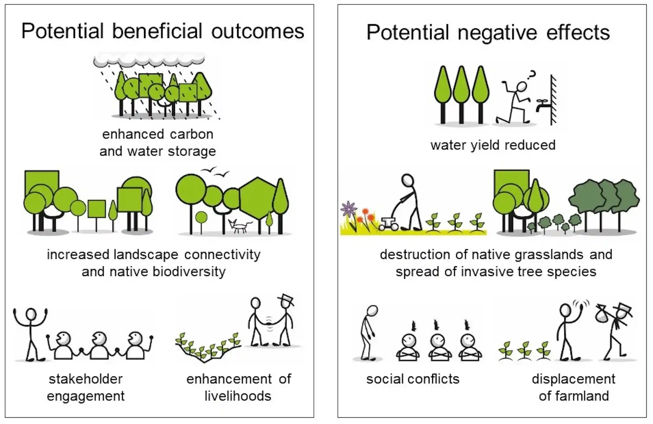 Arbor Day — and Every Day — Should Be About Saving and Growing Trees ...