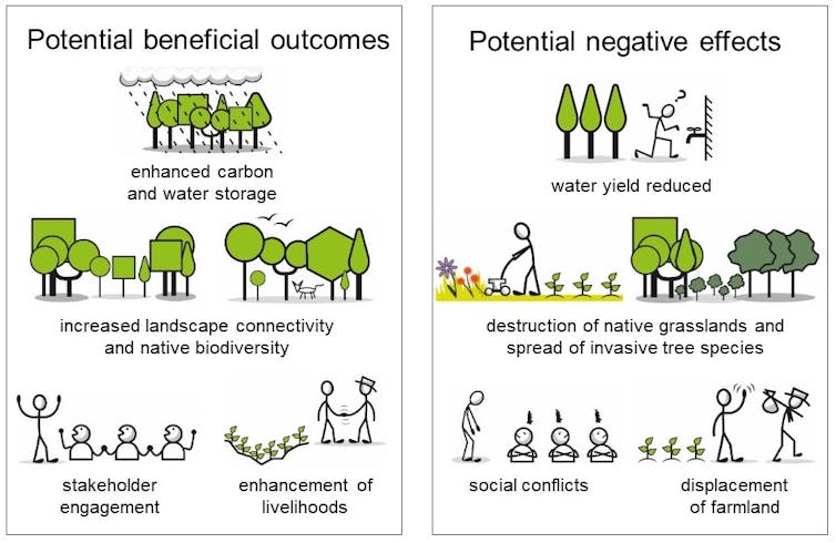 Cartoon showing benefits and harms from tree-planting.