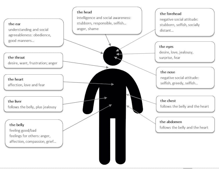 Friday essay: my belly is angry, my throat is in love — how body parts express emotions in Indigenous languages