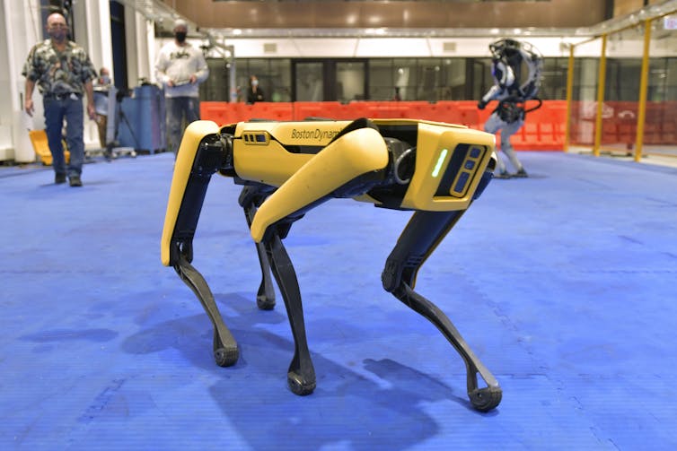 Robot 'Spot' walks across floor