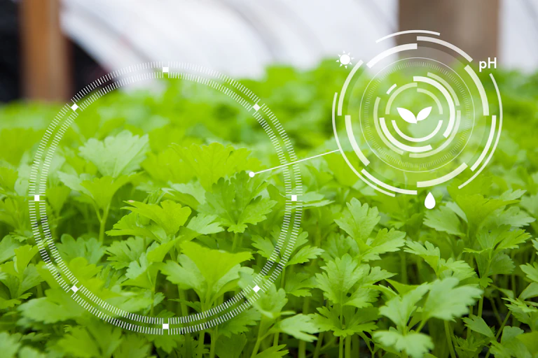 Leaves with digital indicator of pH, light and moisture