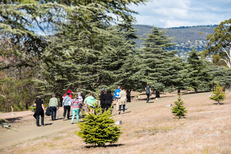 People walk past a line of trees