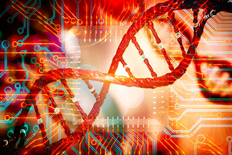 Computer generated image of DNA and circuits.