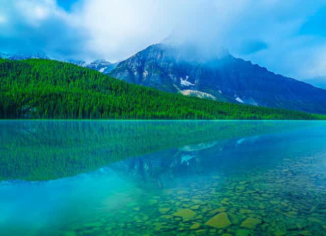Alberta's Bow Lake is seen with crystal-clear blue waters surrounded by evergreens.