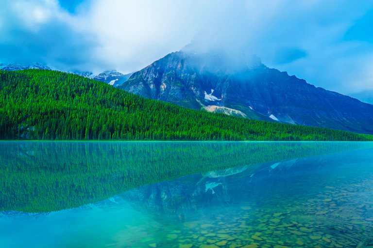 Alberta's Bow Lake is seen with crystal-clear blue waters surrounded by evergreens.