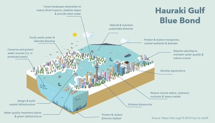 This graphic explains how a Hauraki Gulf blue bond scheme would work.