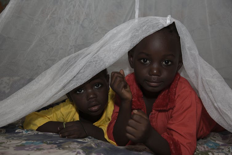 Dos niños nigerianos bajo una mosquitera.