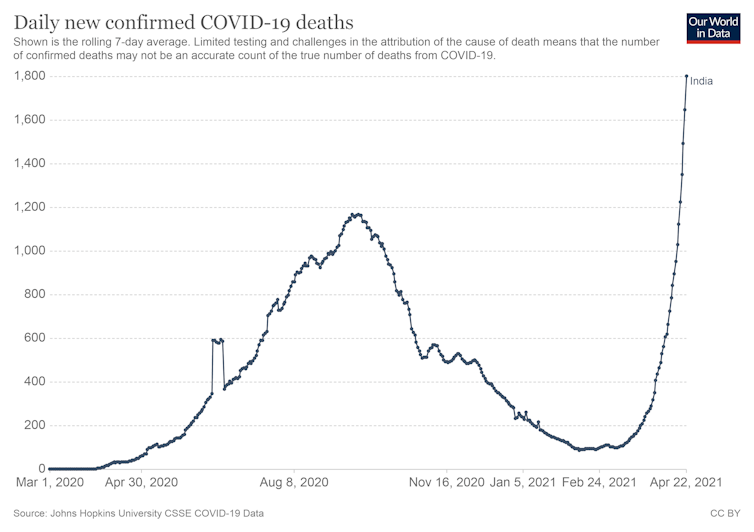 Graph showing sharp upward trajectory of COVID deaths.