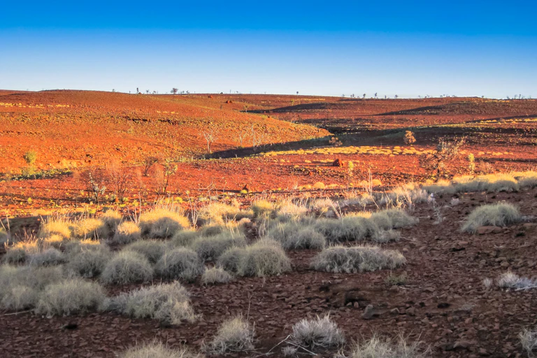 A vast expanse of the West Australian outback in the sun.