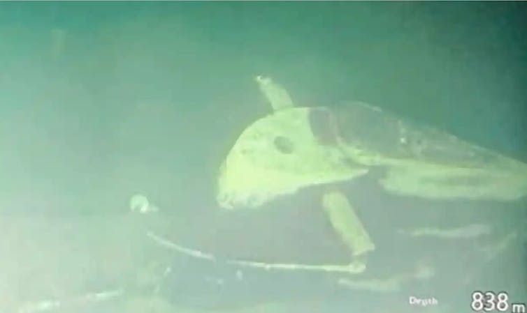 Submarine wreckage on sea floor
