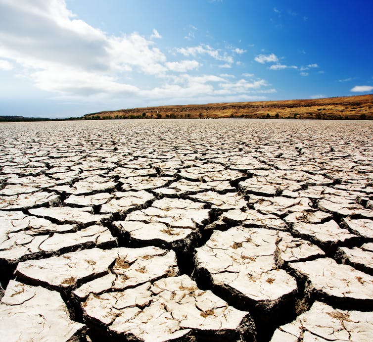 Dry, cracked riverbed