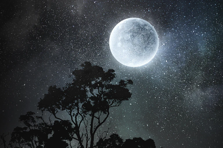 A full moon above some trees on a starry night.