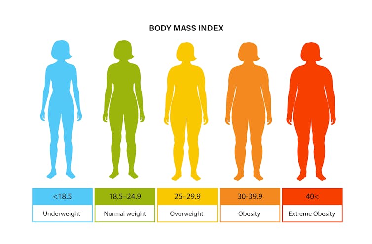 A chart showing body mass index.