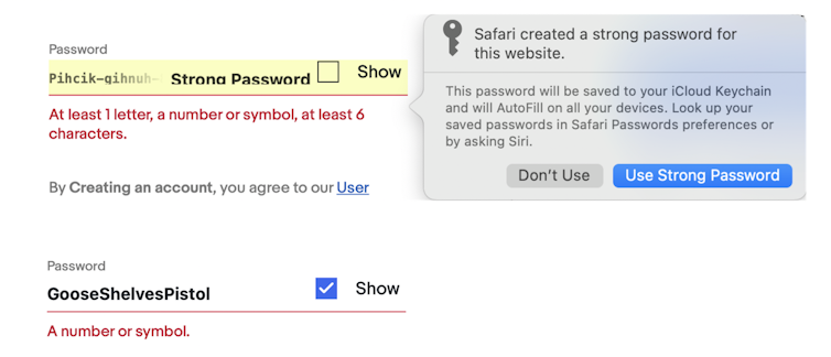 Screenshot of an attempt to use a generated password.