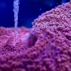 research articles about neurons