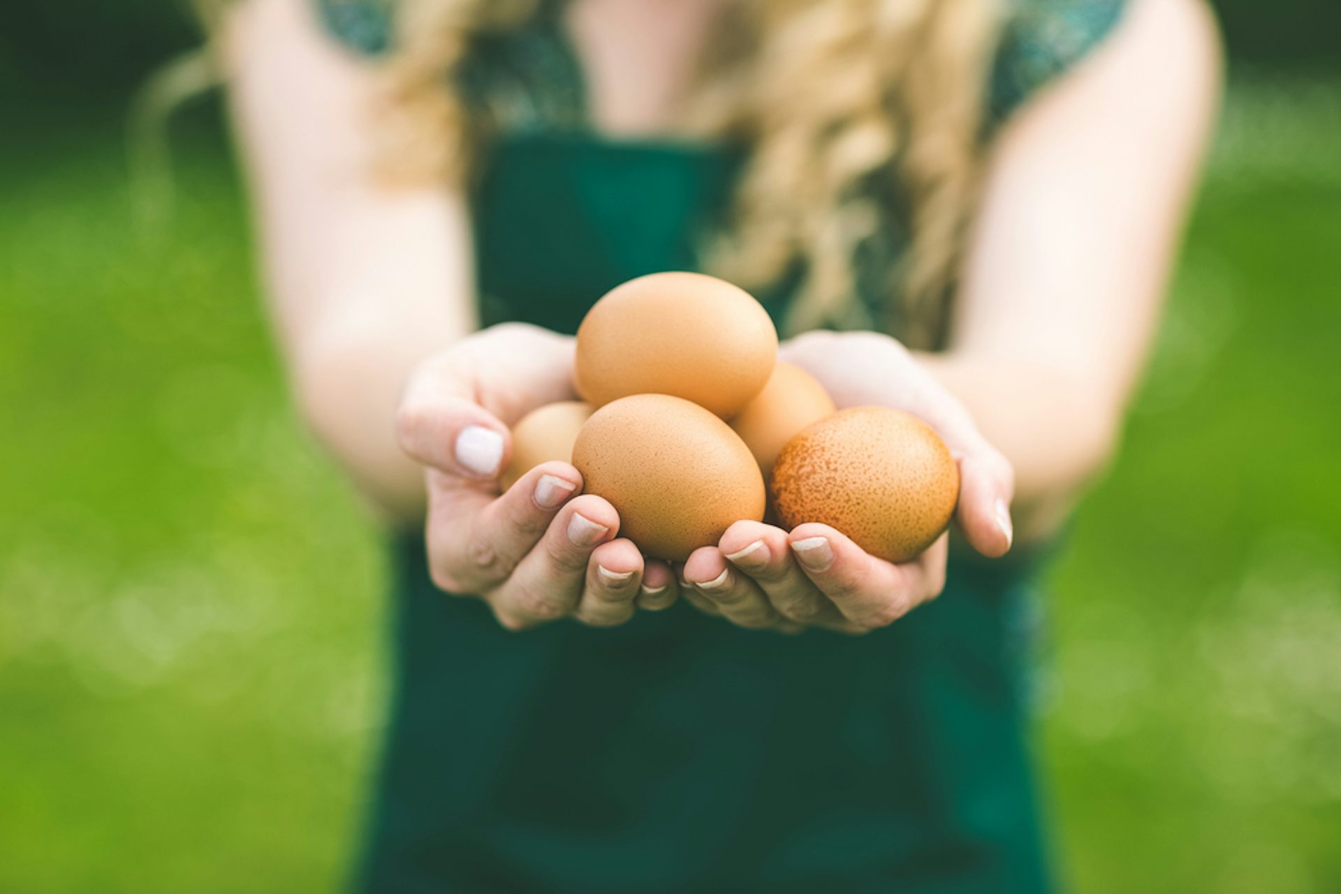 Why women's eggs run out and what can be done about it