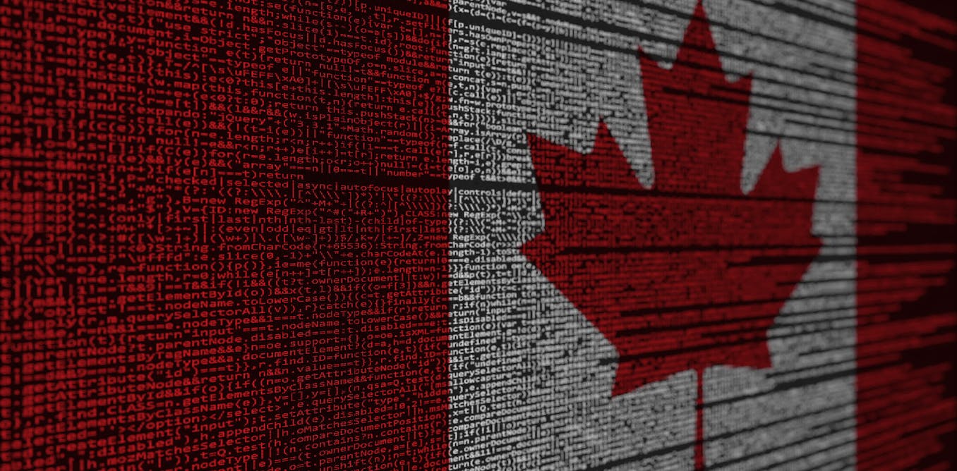 Canada Should Be Transparent In How It Uses Ai To Screen Immigrants