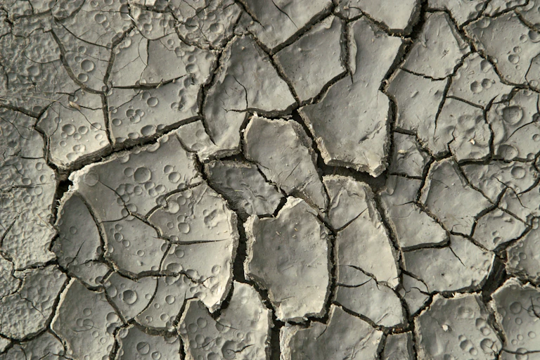 drying clay bed