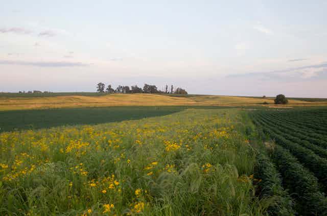 Climate Friendly Farming Strategies Can Improve The Land And Generate Income For Farmers Climate Friendly Farming Strategies Can Improve The Land And Generate Income For Farmers