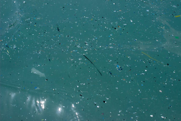 Small bits of plastic floating in the sea