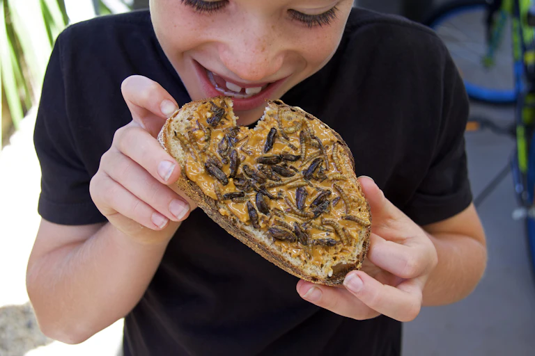 Kid eating peanut butter toast with insects