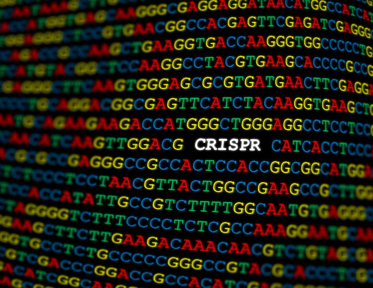 Genetic code with the word 'crispr' in it.