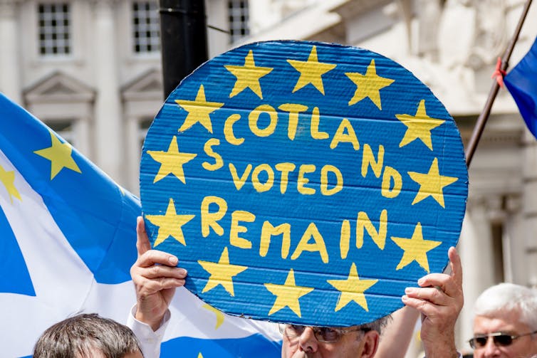 Protester holding up sign that says 'Scotland voted remain'.