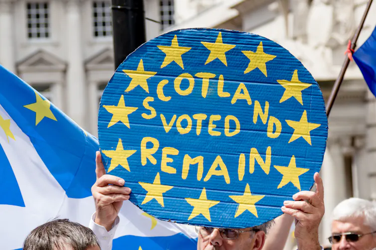 Protester holding up sign that says 'Scotland voted remain'.