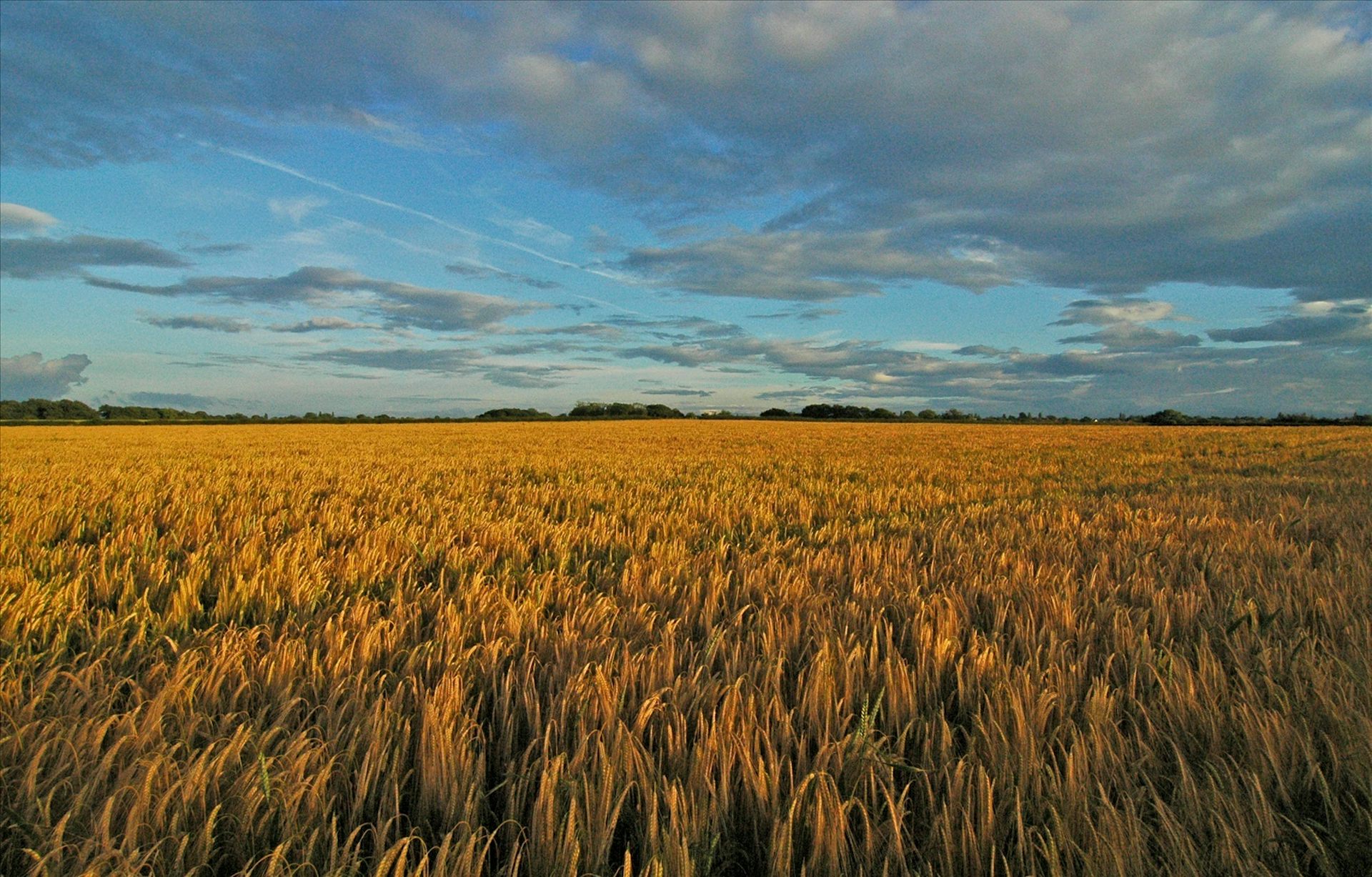 Commodities News Research And Analysis The Conversation Page 4