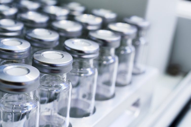 Empty glass vaccine vials