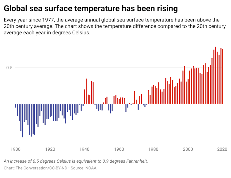 A graph showing the annual global sea surface temperature from 1940 to 2020.